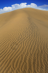 马斯帕洛马斯大加那利群岛沙漠沙丘地标冒险假期干旱旅行地形绿洲利岛天空海滩图片