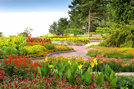 正式花园花朵绿色植物花坛图片