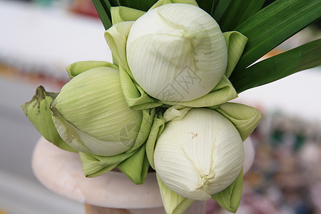 莲花公园植物植物群冥想荒野叶子异国季节宏观荷花图片