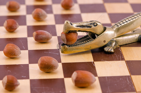 象棋板上的金鳄鱼坚果粉碎工具宏观花胶闲暇装饰食物正方形木板游戏检查器数字图片