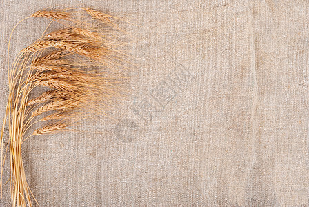 背上卷曲背景的小麦耳朵麻布粮食玉米种子农民织物解雇面包收成生产图片