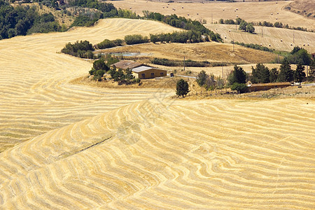 对意大利夏季托斯卡尼典型风景的看法草地全景植物农场爬坡植被农田收成国家场地图片
