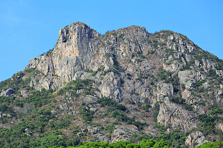 狮子摇滚 狮子像香港的山峰一样 是白色天空城市绿色地标晴天头脑市中心岩石爬坡图片