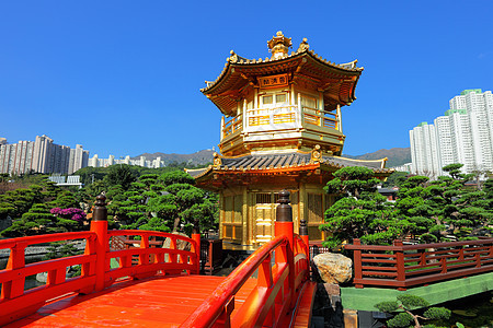中国花园的金子馆建筑寺庙鲤鱼途径盆栽佛教徒文化人行道宝塔美化图片