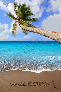 棕色沙滩沙沙 写字欢迎图片