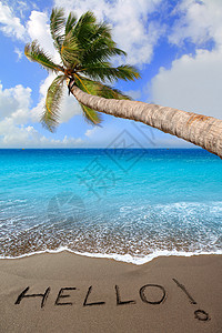 棕色沙滩 写字太阳支撑打印海洋棕榈天堂岛屿异国旅行蓝色图片