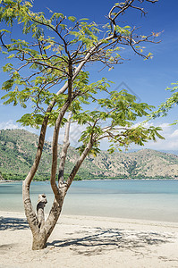 东蒂摩尔附近dili附近的布兰卡海滩旅游海岸天堂情调海岸线旅行异国热带图片