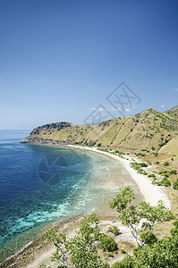 东面提摩尔附近的迪里沙滩风景海滩海岸线旅游旅行情调异国热带海岸图片