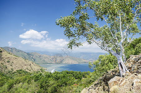 东提摩尔东迪利附近海岸海岸线旅行异国海滩风景热带旅游情调图片