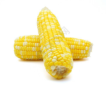 玉米内核棒子黄色作物背景图片