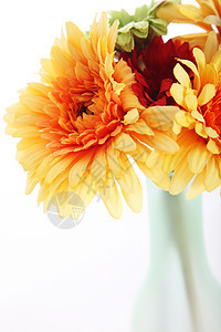 花瓶中的橙达利安图片