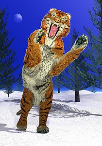 老虎攻击插图危险绘画食肉动物园月亮打猎猎人哺乳动物濒危图片