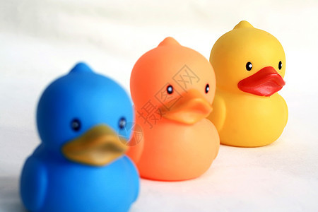 鸭玩具淋浴白色塑料鸭子橡皮橙子黄色小鸭子图片