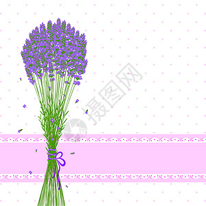 紫衣花花盛情贺卡图片