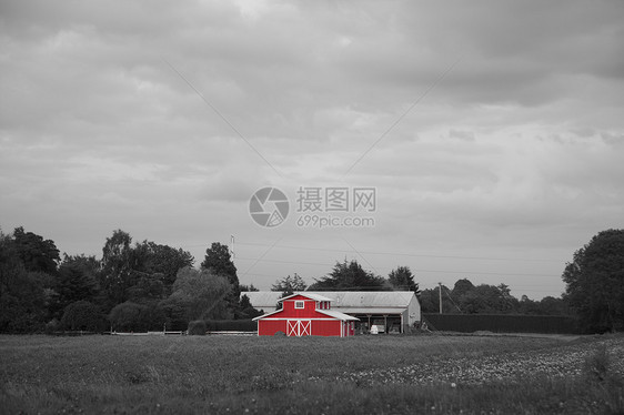 红营国家农场动物场地叶子干草田园牧场区系天空图片