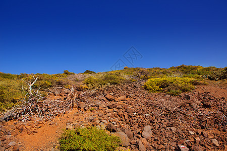 山 拉帕尔马巅峰地标悬崖石头海拔火山天空蓝色岛屿地球图片