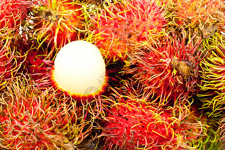 拉布坦收成头发团体水果季节异国热带植物营养甜点图片