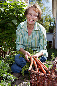 妇女收获胡萝卜篮子爱好后院女孩园艺老年植物学食物生产蔬菜图片
