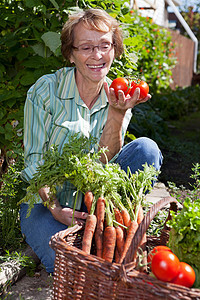 种植花椰菜蔬菜的妇女图片