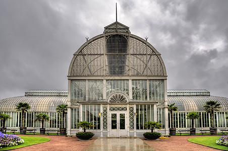 橙橙色温室绿色热带建筑学花园手掌植物园历史植物群种植图片