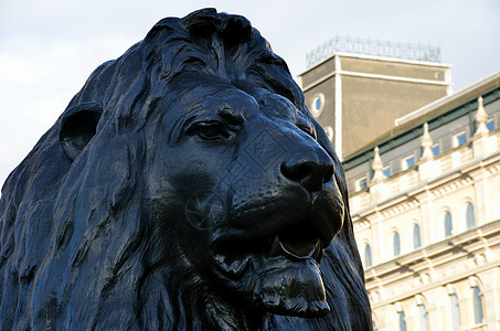 Trafalgar 广场狮子雕像建筑胜利地标英雄国王纪念碑雕塑青铜王国图片