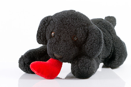 小狗玩具友谊黑色宠物白色礼物图片