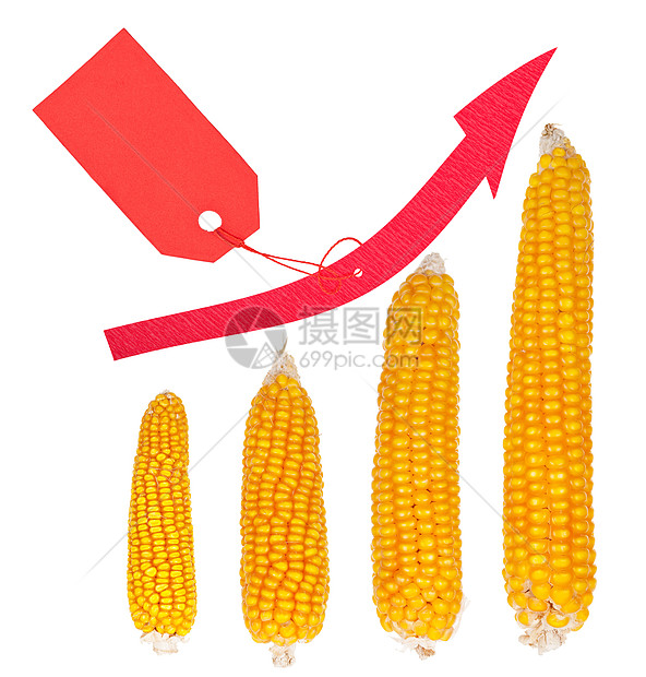 玉米价格的上涨图片