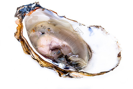 一个牡蛎海鲜熟食美食壳类健康奢华贝类海洋食物午餐图片