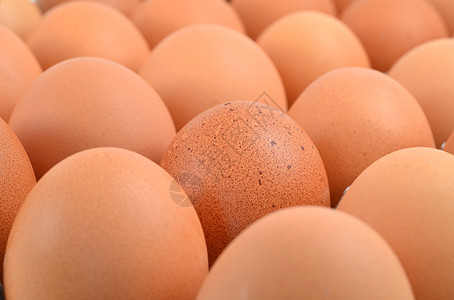 蛋乳制品食品健康饮食安全棕蛋背景图片