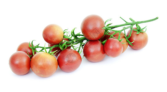 番茄是白色背景的背景图片