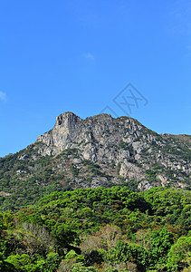 狮子摇滚城市精神蓝色地标爬坡头脑白色绿色岩石晴天图片