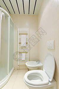 现代洗手间中的厕所龙头卫生收藏房子风格卫生间座位装饰酒店陶瓷图片