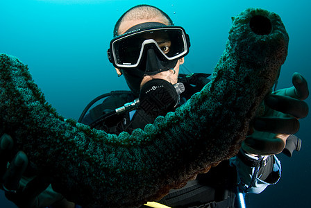 持有海参的Scuba潜水员热带岩石旅游动物指导展示教学探险家生活潜水图片