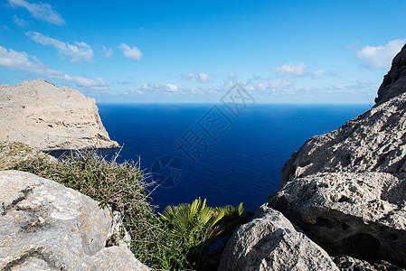 Majorca海岸的福门塔图片