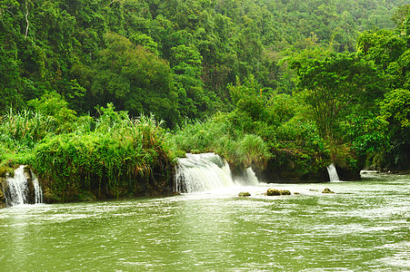 热带河流气候绿色环境树木溪流植物场景风景瀑布森林图片