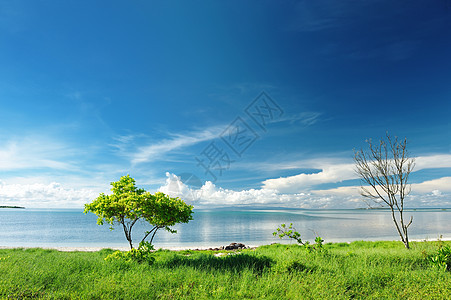 美丽的海滩处女地平线热带边缘旅行荒野风景海岸线海景蓝色图片