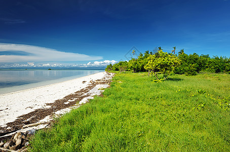 美丽的海滩地平线蓝色海景海岸线假期棕榈海洋处女荒野天空图片