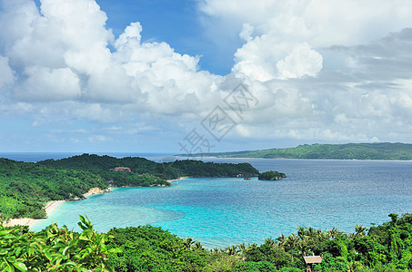 美丽的海滩假期蓝色地平线风景边缘旅行荒野海景海岸线棕榈图片