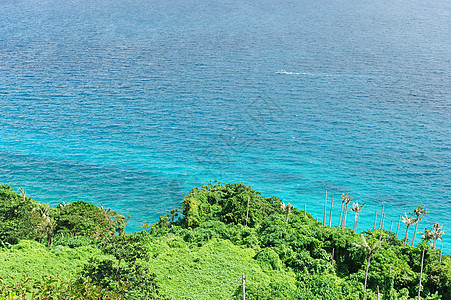 美丽的海滩假期棕榈边缘蓝色旅行地平线天空热带海浪荒野图片