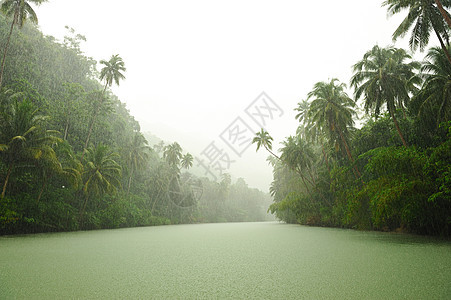 河流上方热带雨叶子溪流绿色热带场景雨林环境风景树木气候图片