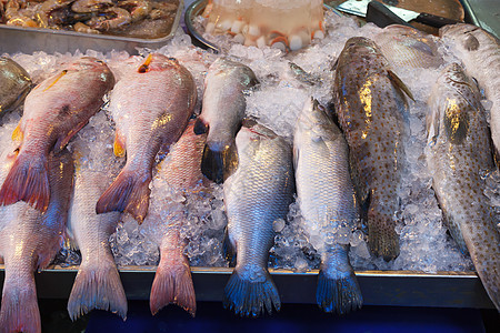 海产食品市场新鲜鱼购物销售生活海鲜健康食物低音红色粉色店铺图片