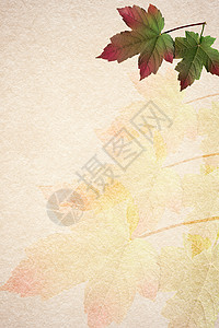 旧纸张秋天叶背景空白红色艺术褐色绿色黄色床单橙子古董风化背景图片