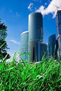 绿草和摩天大楼图片