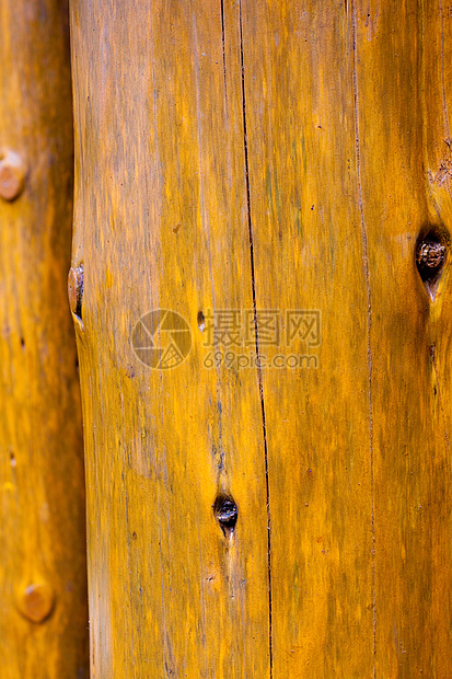 木质抽象纹理棕色松树粮食黄色木纹木材背景摘要立木木头图片