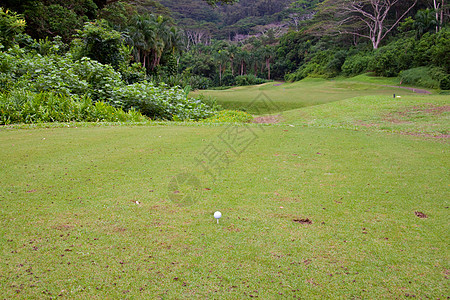 美丽的高尔夫高尔夫球赛旅游植被旅行推杆热带球道目的地高尔夫球运动旗帜背景