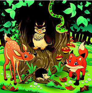 木头里的动物蟒蛇雕鸮猫头鹰故事卡通片狐狸树木童话寓言刺猬图片