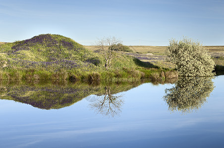 湖叶子反射风景绿色蓝色环境池塘国家农村季节图片