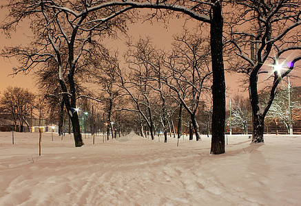 冬季之夜大街城市公园降雪季节雪堆风景街道灯笼树木图片