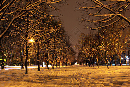 冬季之夜雪堆公园季节大街场景城市风景树木街道灯笼图片
