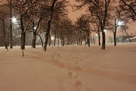 冬季之夜树木雪堆灯笼风景场景降雪大街城市季节街道图片
